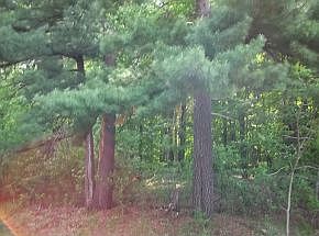 3rd image of S Lake Shore Ct