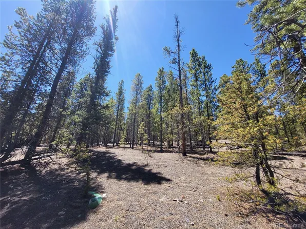 48 Lodgepole Drive, Leadville, CO 80461