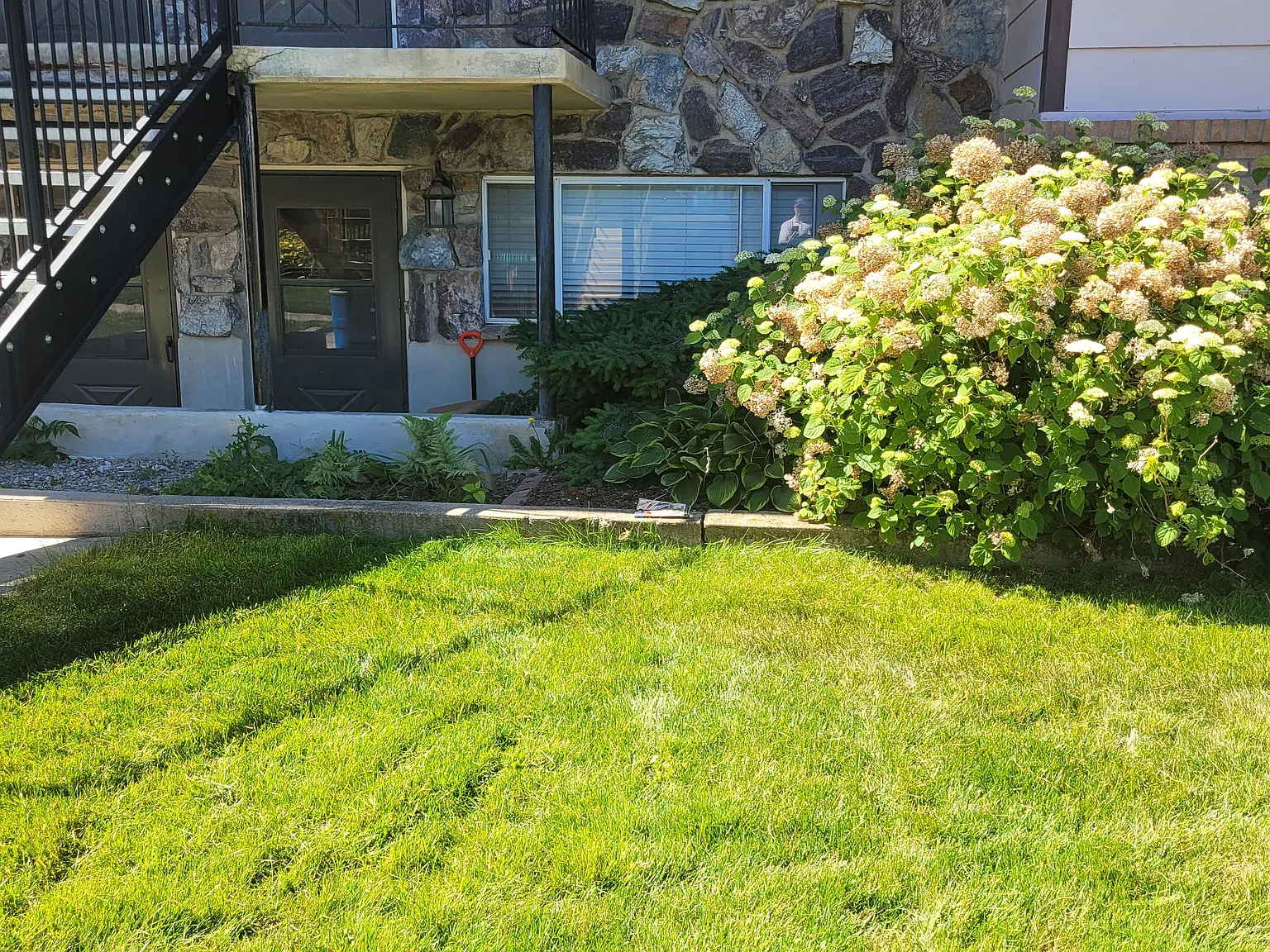 2 bed, 900 sqft, $1,200 — Photo 1