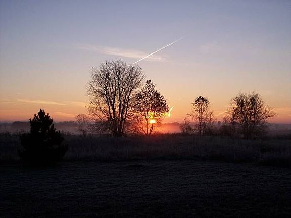Sunrise in the back yard