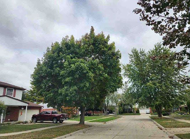 2nd image of 9772 Lincoln Ct
