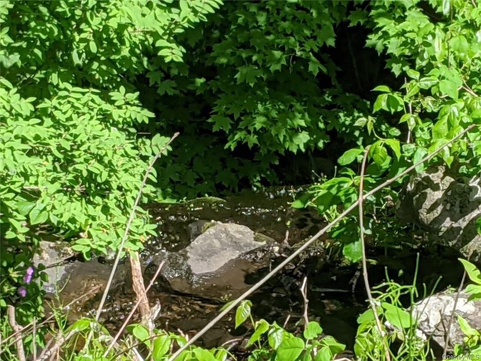 2nd image of Mt Zion Rd