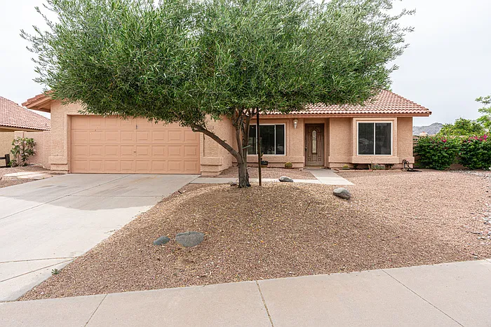 13808 S 36th Way — Photo 3