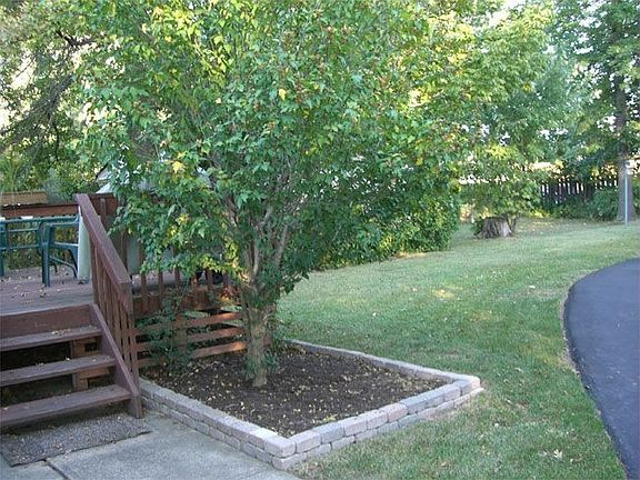 Deck and Backyard