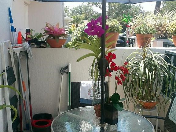 Front patio is nice place to have your morning coffee