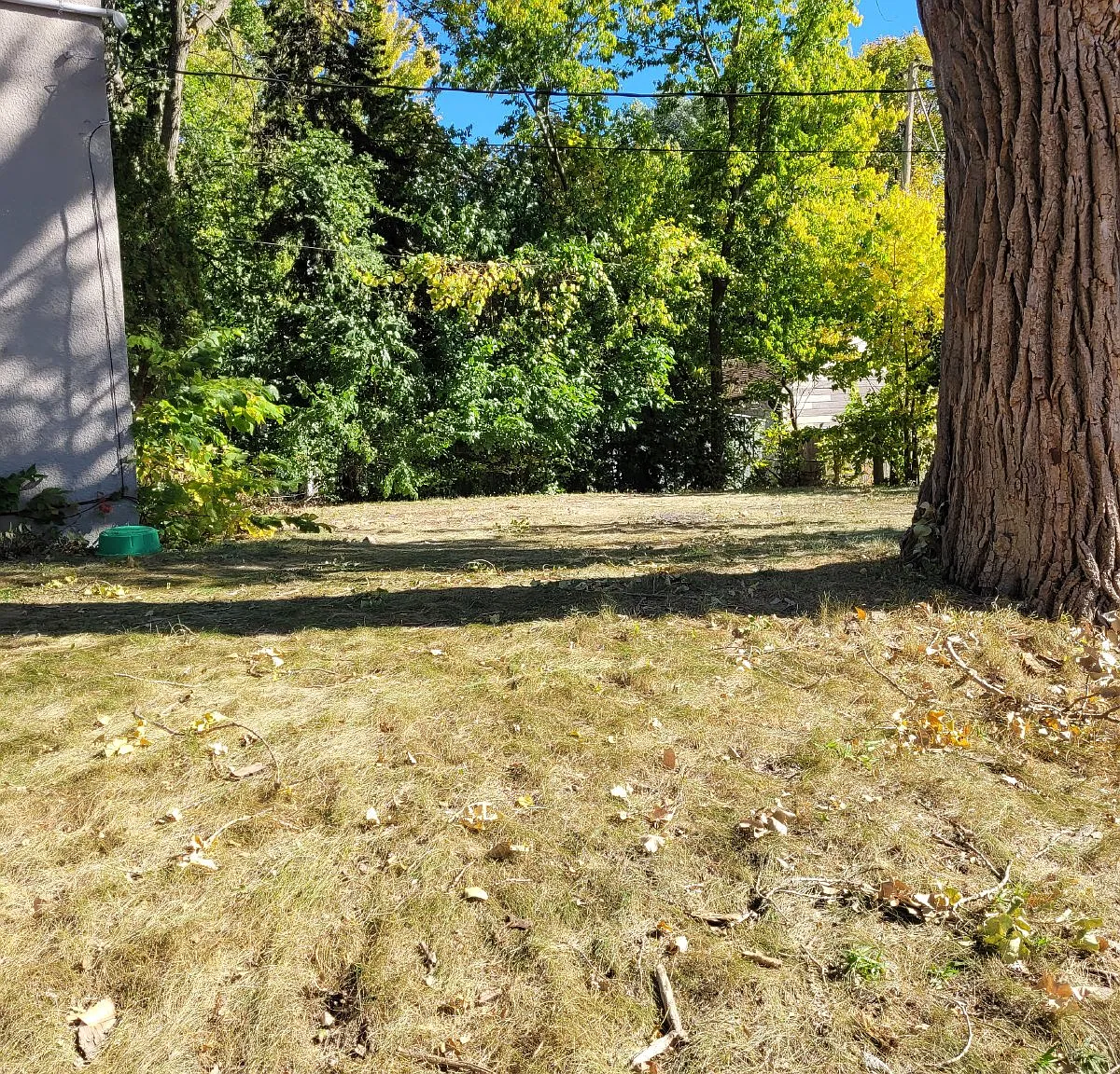 2 bed, 1.0 bath, 1157 sqft, $1,600 — Photo 3
