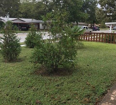 3rd image of 3831 Emerald Dr