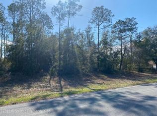 12346 Pitcairn St #31, Brooksville, FL 34613
