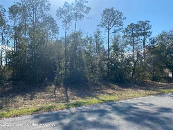 12346 Pitcairn St #31, Brooksville, FL 34613