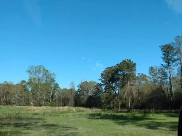 0 Zenith Mill Rd, Roberta, GA 31078
