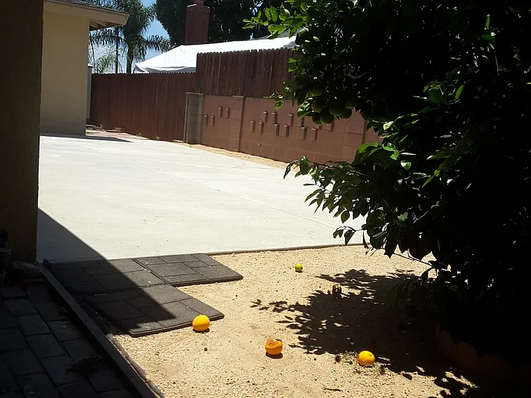 back yard has an orange tree that bears many sweet navel oranges every year, and behind the dog-run there's a storage as there is also a covered patio that can serve as a storage area where you can store and protect your seat cushions on rainy days.
