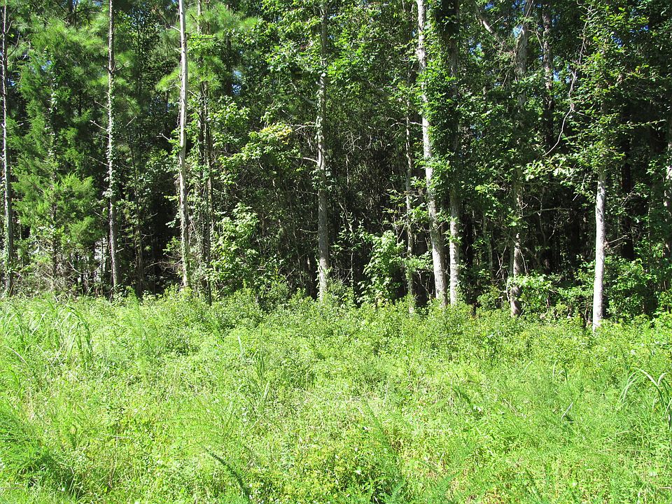 2nd image of 261 & 267 Anchor Road
