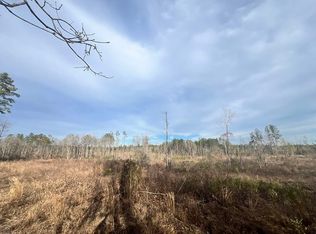 Highway 536, Waynesboro, MS 39367