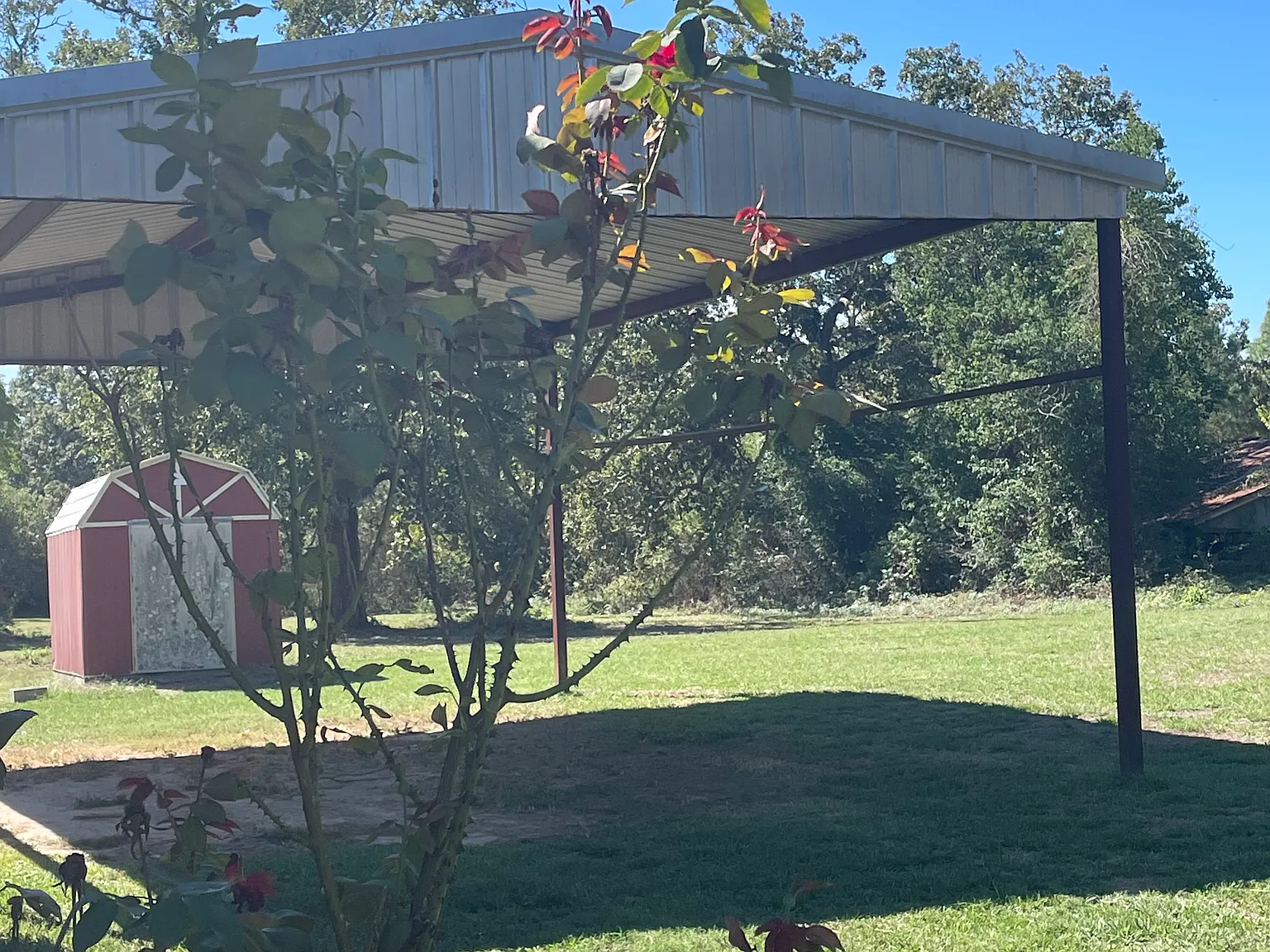 3 bed, 1362 sqft, $1,325 — Photo 4