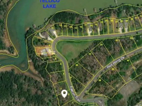 Falcon Trl, Vonore, TN 37885