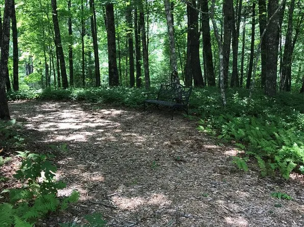 63 Chinquapin Ct, Cashiers, NC 28774