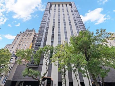 1310 N Ritchie Ct APT 3A, Chicago, IL, 60610