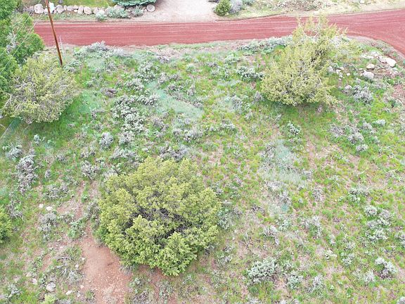 5th image of 852 E Deer Trail Dr