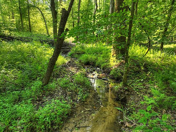 3rd image of 279 Shallow Water Way