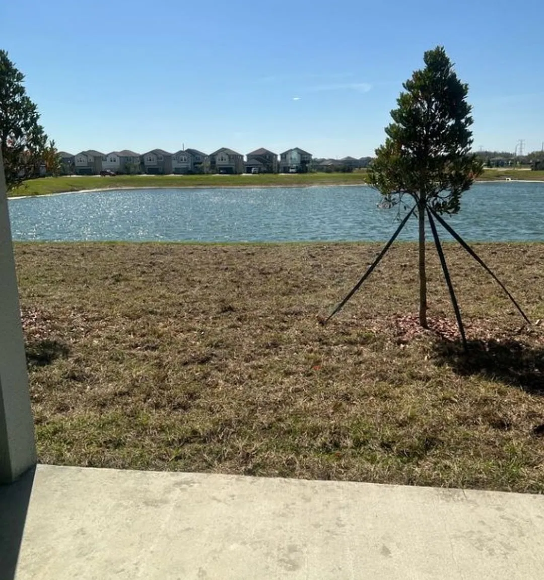 3 bed, 1634 sqft, $2,300 — Photo 4