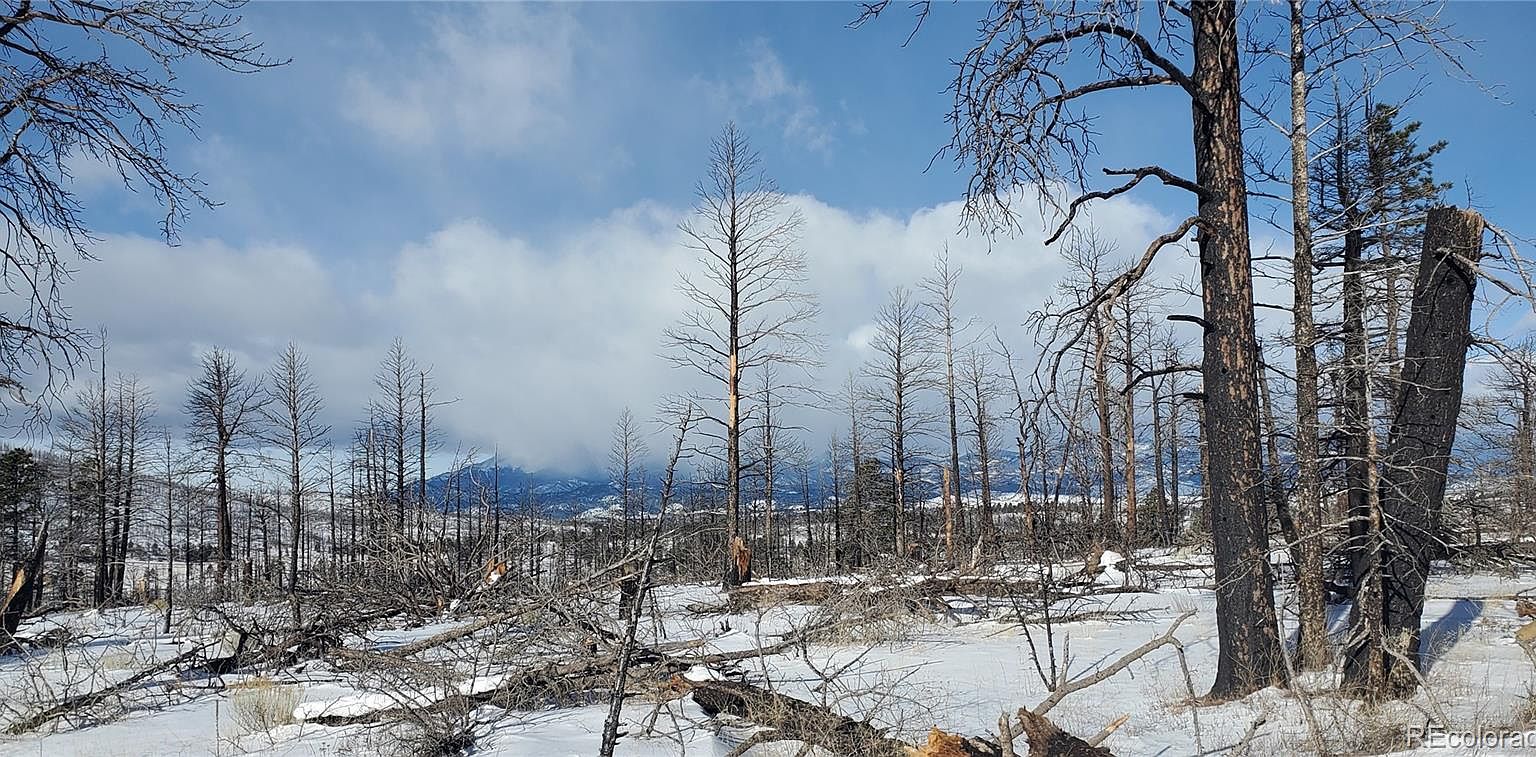 1146 Hanley Lane Lot 1146, Fort Garland, CO 81133 MLS 6997522 Zillow