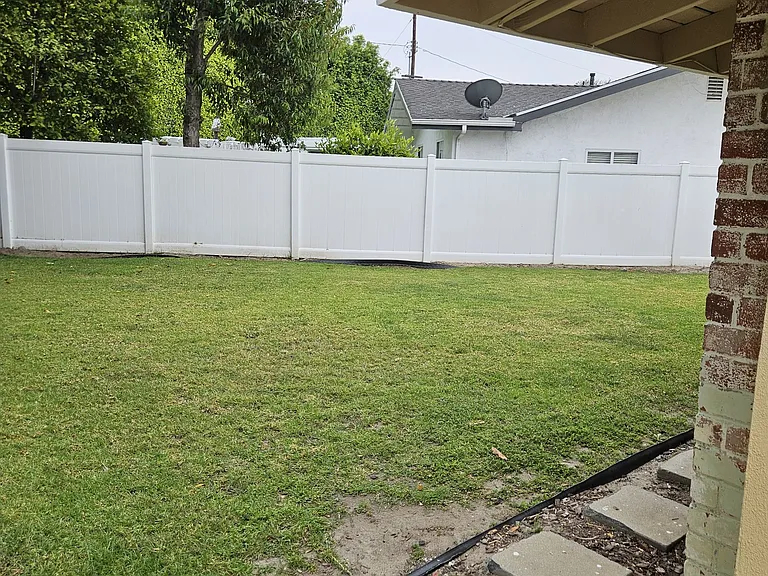 Grassy Area Backyard