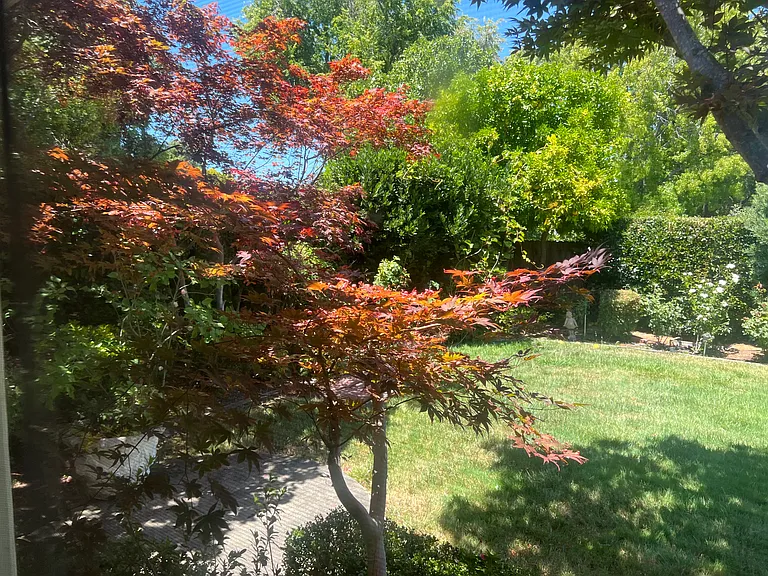 15 Sage Ct — Photo 15