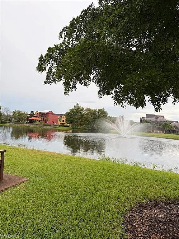 Paseo — Photo 2