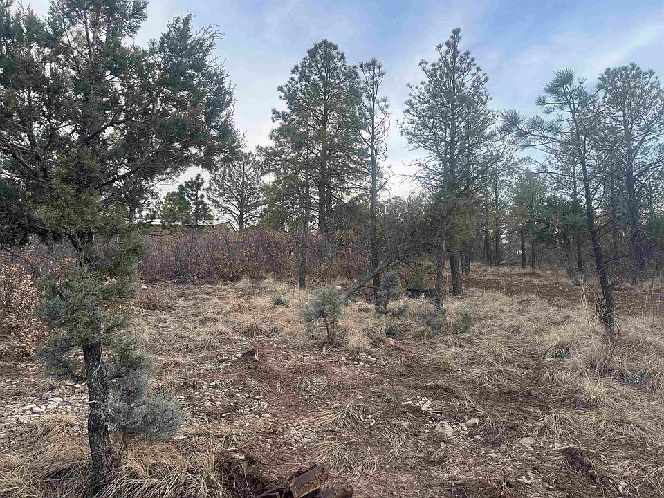1st image of Cibola Dr