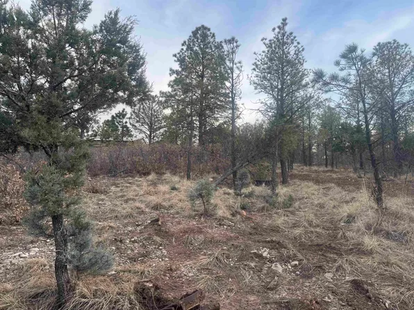 Cibola Dr, Timberon, NM 88350