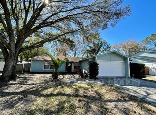 4808 Hayride Ct, Tampa, FL 33624