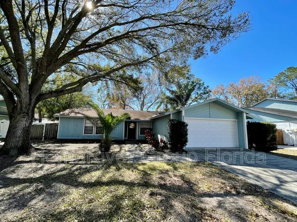 4808 Hayride Ct, Tampa, FL 33624