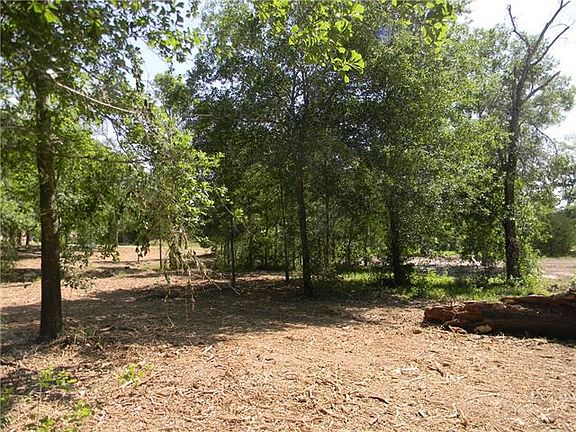 4th image of 3110 Palmetto Trl