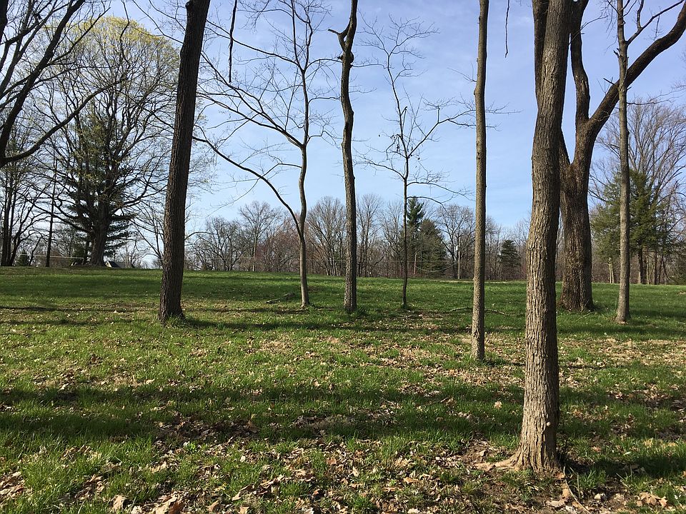 Mix of hardwoods and lawn