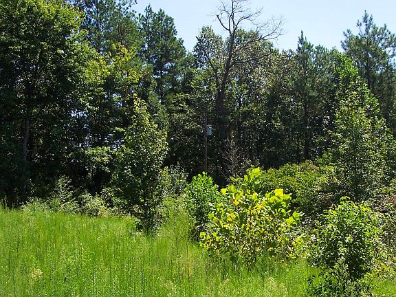 4th image of 227 County Road 118 Lot 5