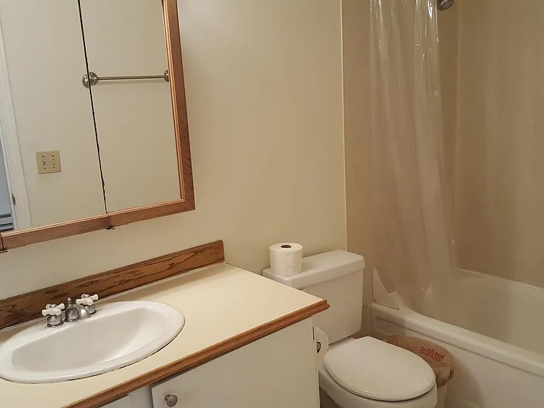 The bathroom in the Master Bedroom