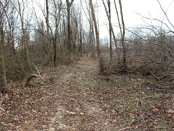 3rd image of 680 County Road 300