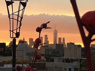 Rented by Manhattan Management LLC