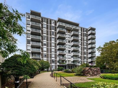 60 Babcock St APT 65, Brookline, MA, 02446