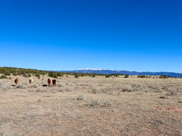 County Road 555, Gardner, CO 81040