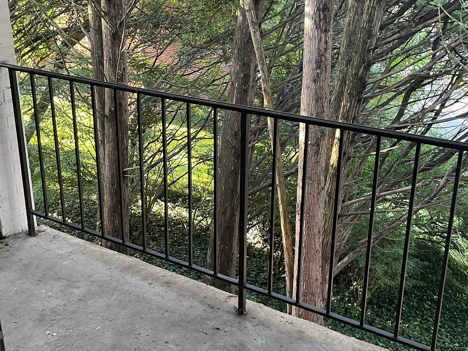 Secluded Condo Near UVA Law School and Barracks Road Shopping Center — Photo 3