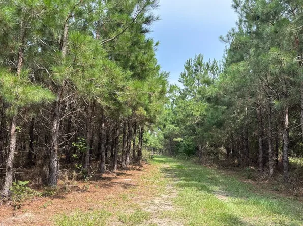 1638 Grasshopper Ln, Alcolu, SC 29001