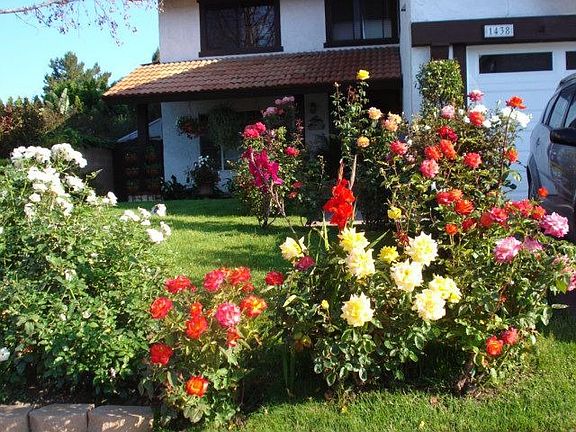 Front Garden
