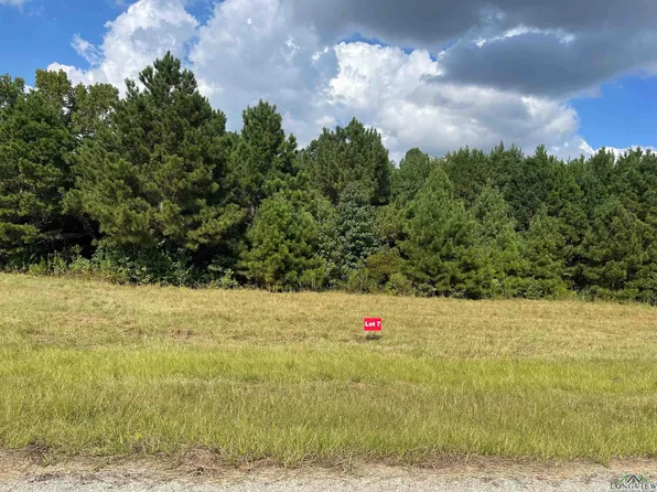 7 County Road 2204d & Dm #1797, Tatum, TX 75691