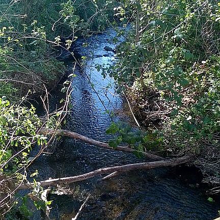 Dry Creek from bridge