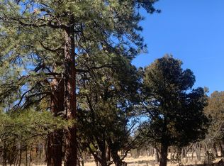 2168 Cody Cir, Happy Jack, AZ 86024