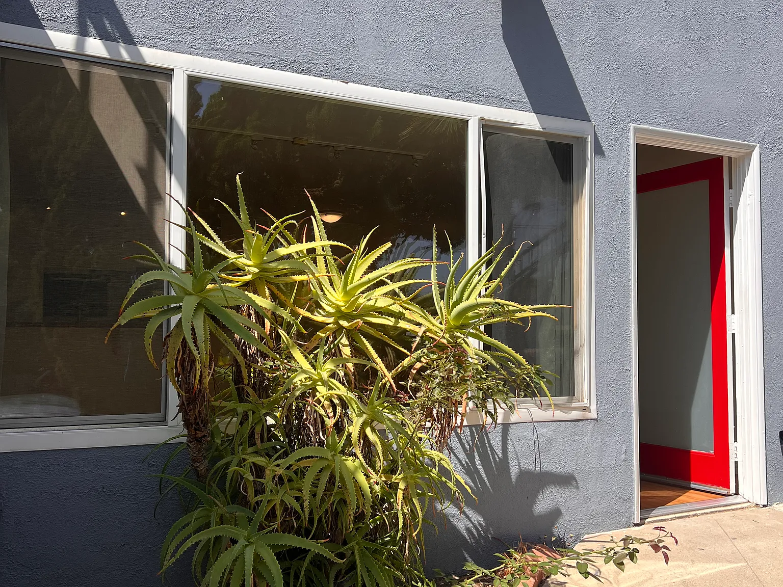 1 bed, 700 sqft, $2,550 — Photo 2
