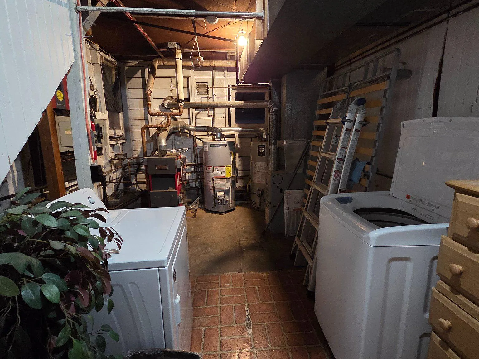 2 bed, 1.0 bath, 1584 sqft, $1,800 — Photo 3