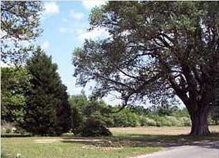 2nd image of 21597 County Road 68 N