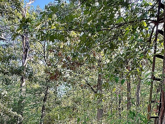 4th image of 136 Bent Tree Cir